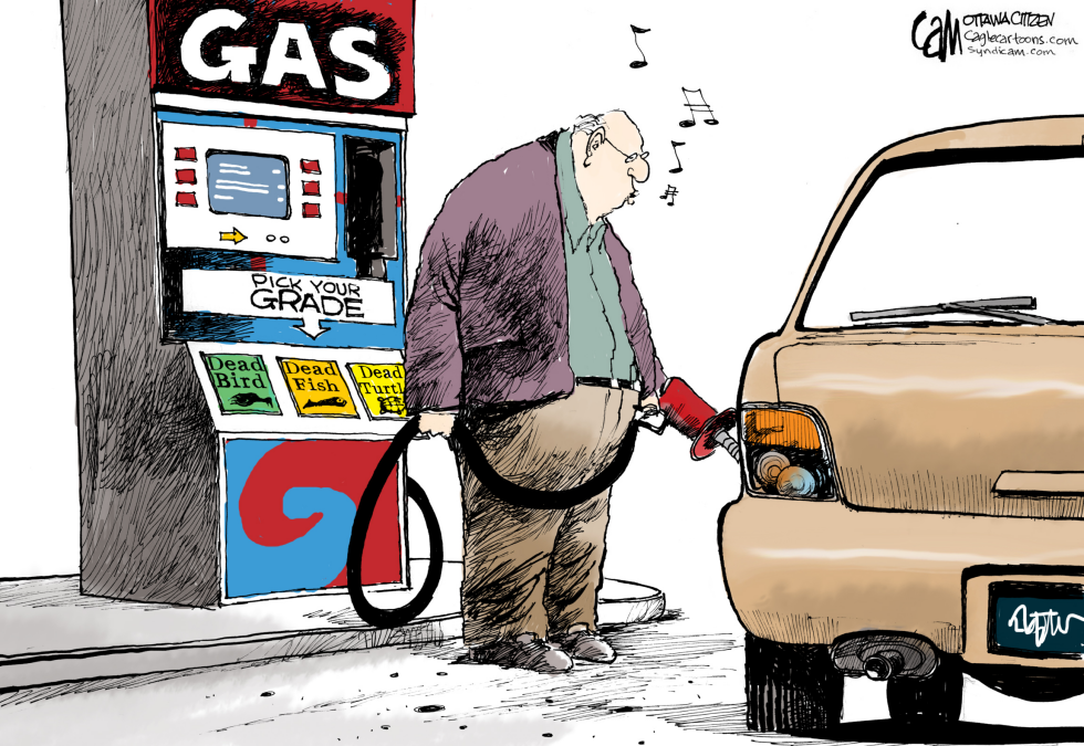 Gas Grades COLOR