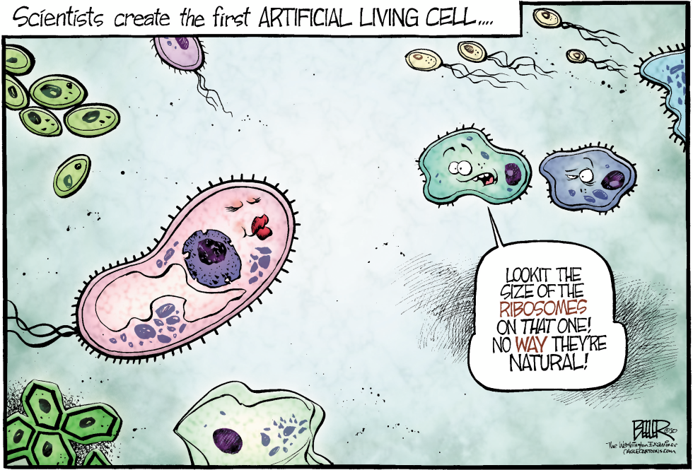  SYNTHETIC CELLS by Nate Beeler