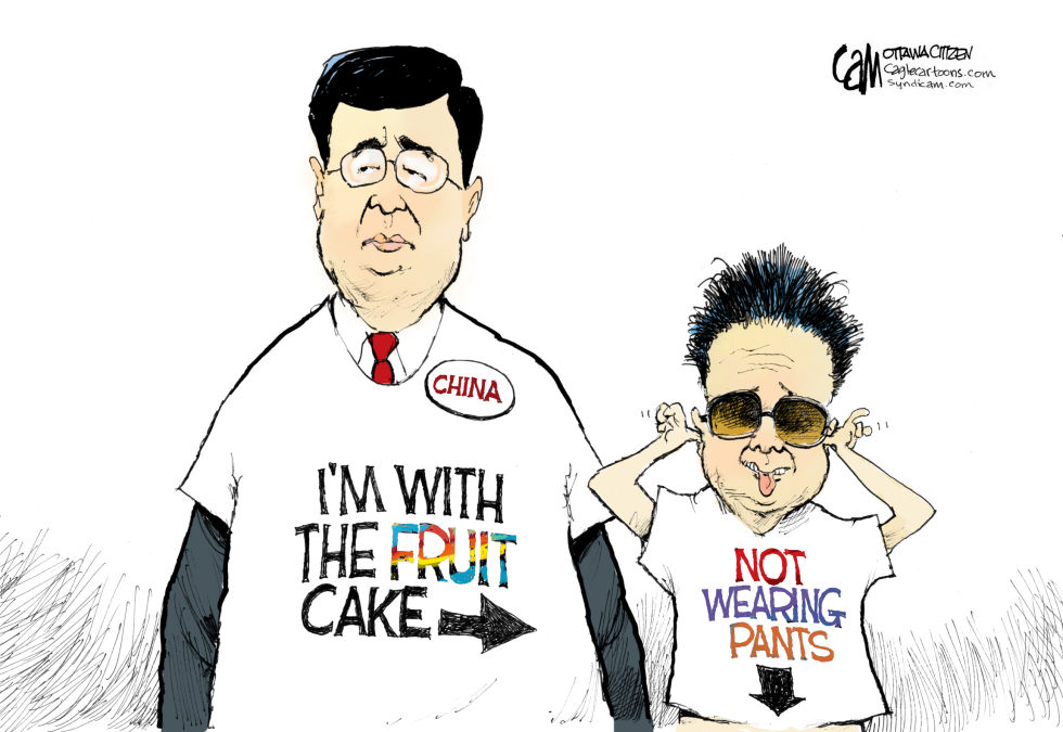 Fruit Cake COLOR
