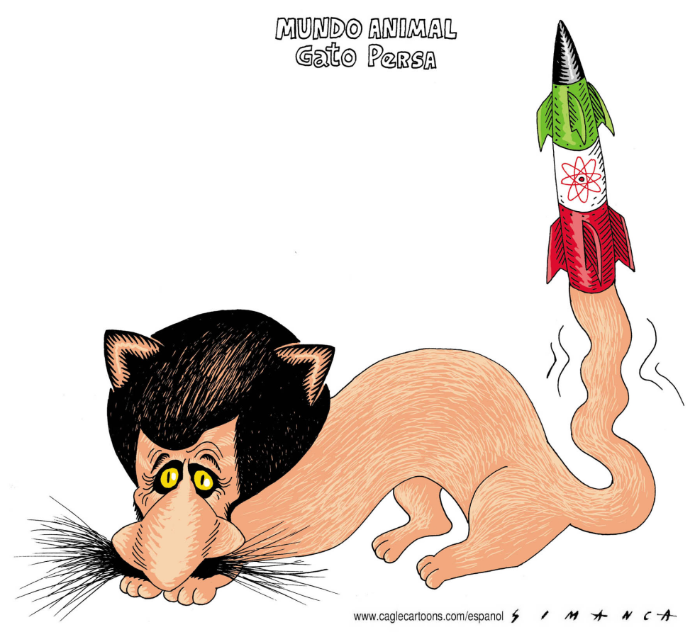 Gato Persa Atomico / COLOR