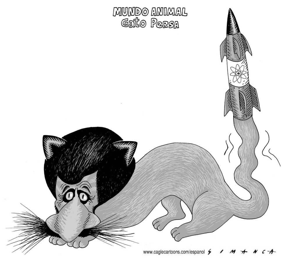 Gato Persa Atomico