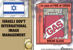 ISRAELI IMAGE MANAGEMENT by Steve Greenberg