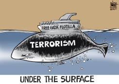GAZA FLOTILLA,  by Randy Bish