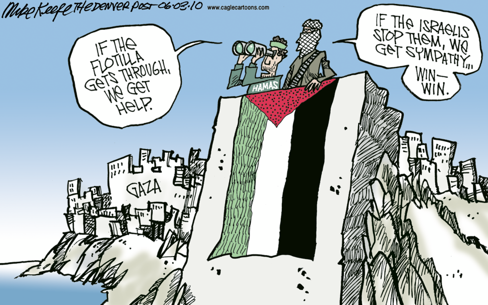  FLOTILLA STOPPED BY ISRAELIS by Mike Keefe