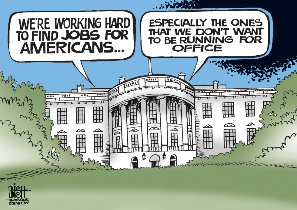 WHITE HOUSE JOBS, COLOR
