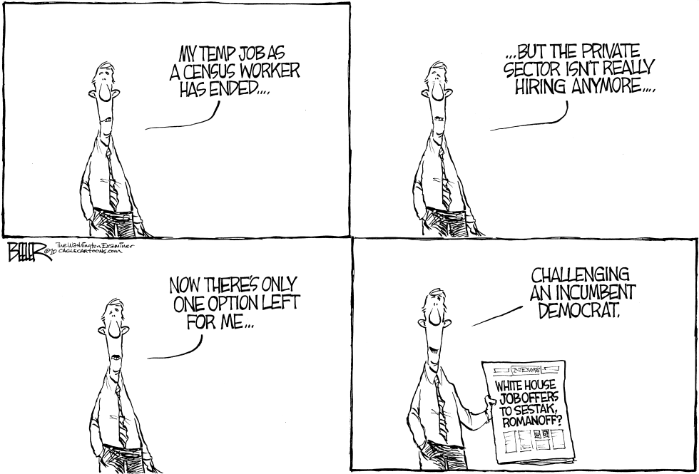 Political Job
