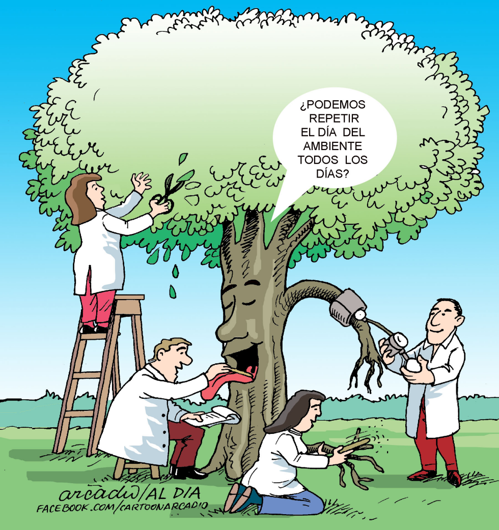 Día del medio ambiente