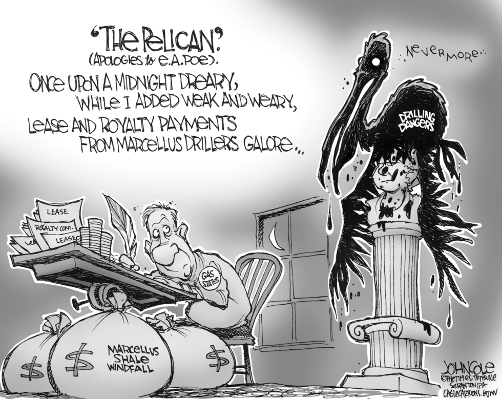 The Pelican BW