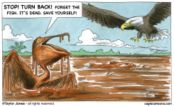 BROWN PELICAN WARNS BALD EAGLE -  by Taylor Jones