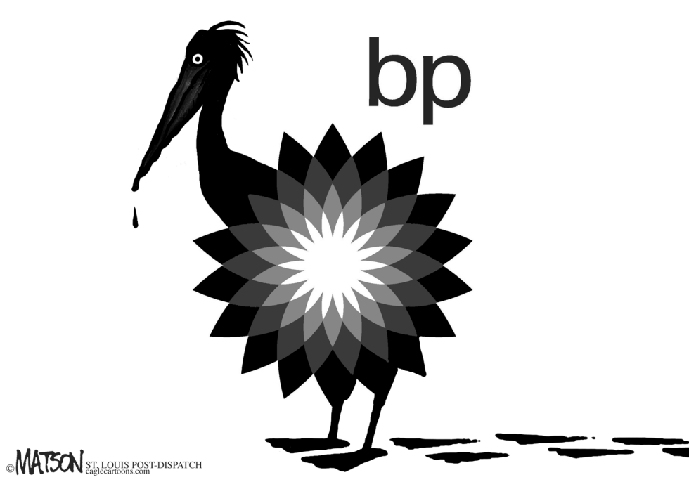 Pelicano de BP