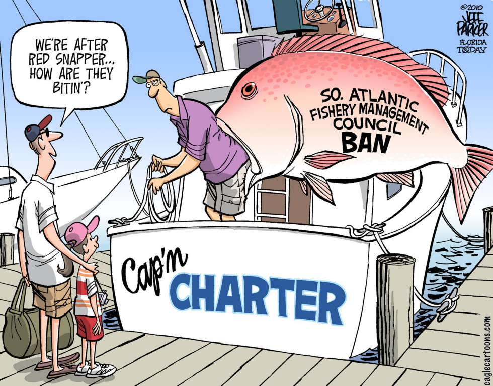 LOCAL SE US COAST Snapper Are Biting