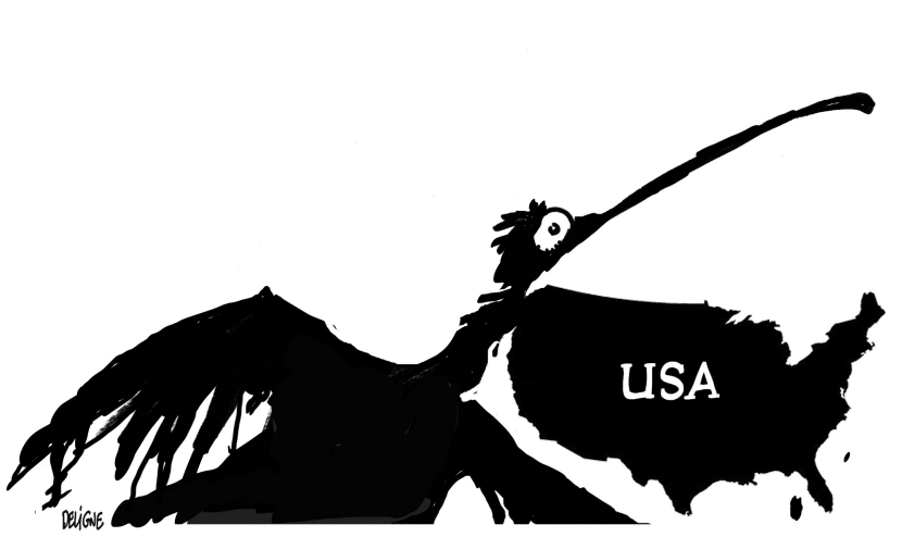 US Pelican