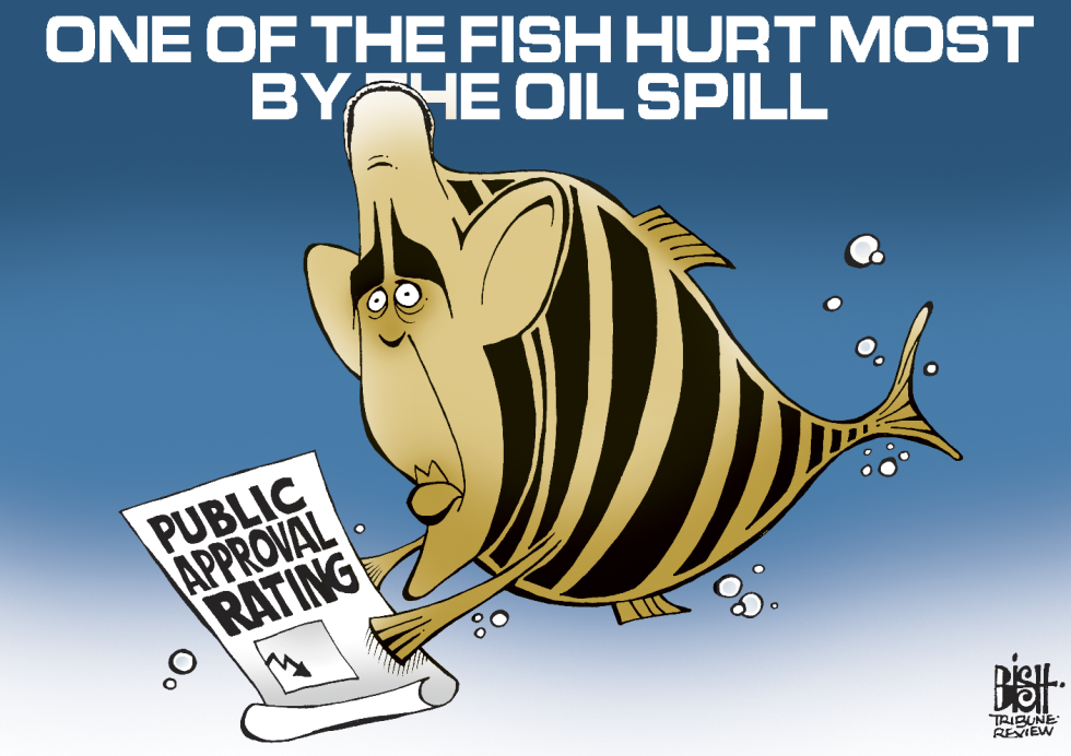 OIL SPILLS AND APPROVAL RATINGS, COLOR