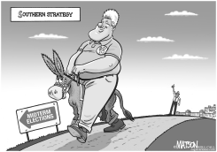 SOUTHERN STRATEGY by R.J. Matson