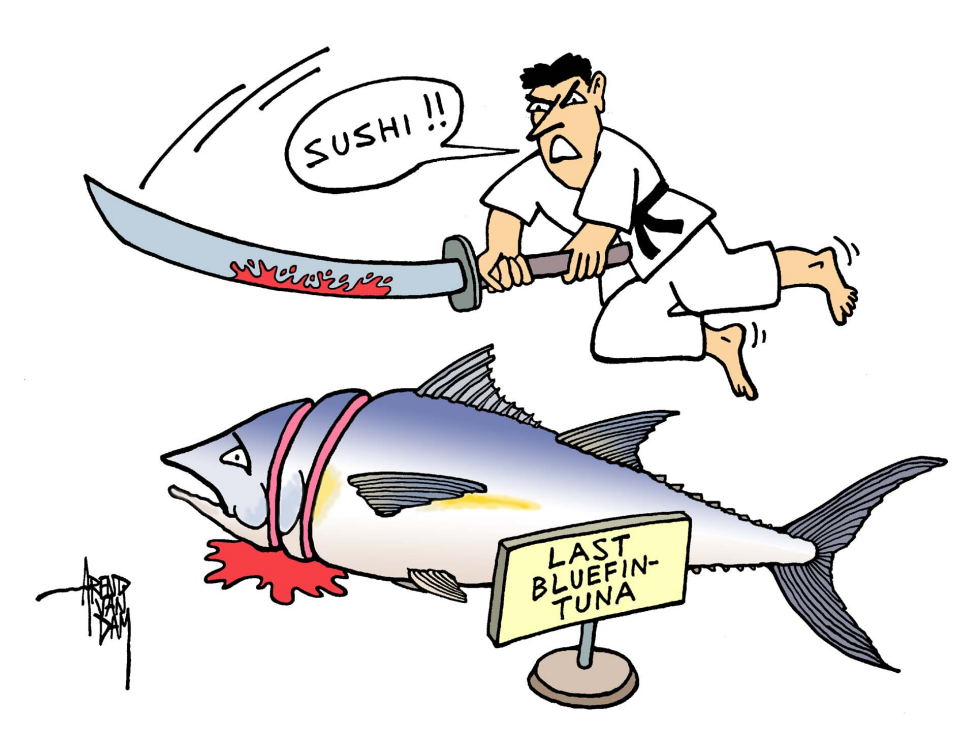 Japan is bluefintuna- killer