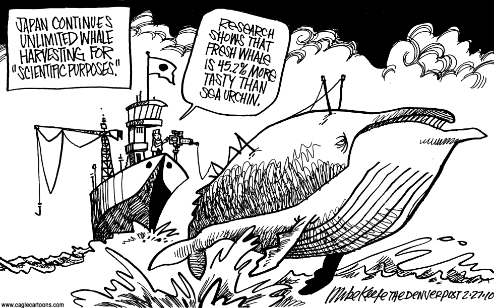 Japanese Whaling