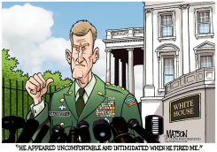 GENERAL MCCHRYSTAL'S PARTING SHOT by R.J. Matson