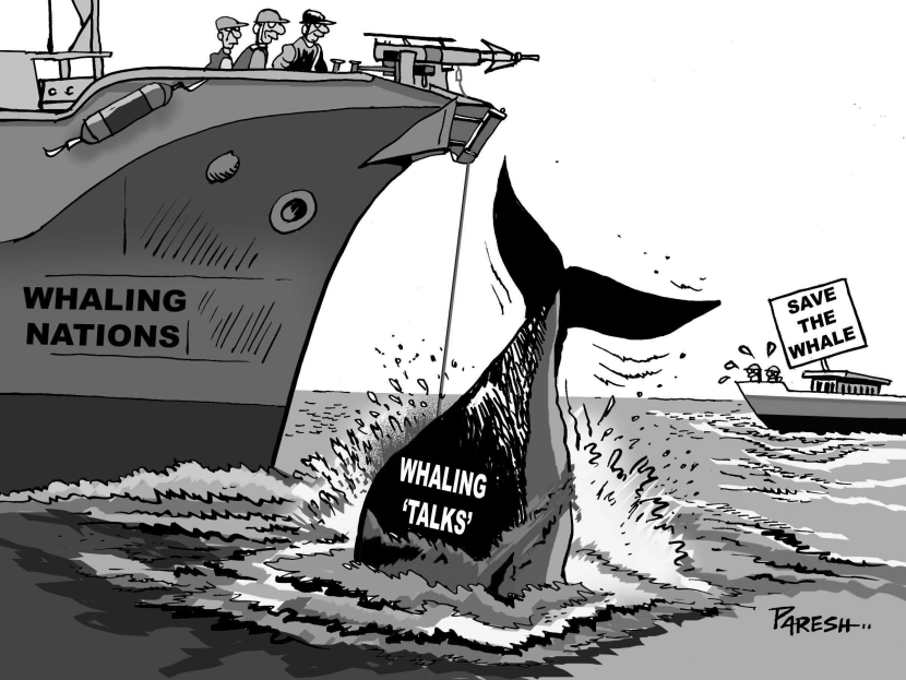 Killing whales