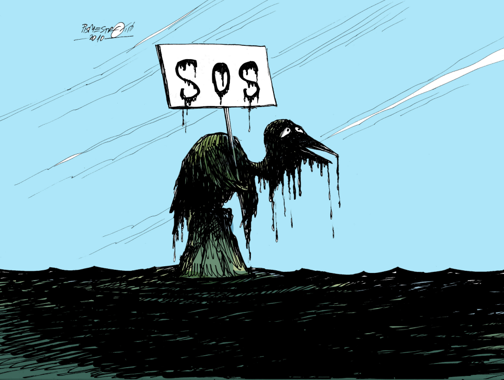 SOS from Gulf