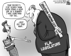 LOCAL FL ACCOUNTABILITY VS ACCOUNTING ABILITY by Jeff Parker