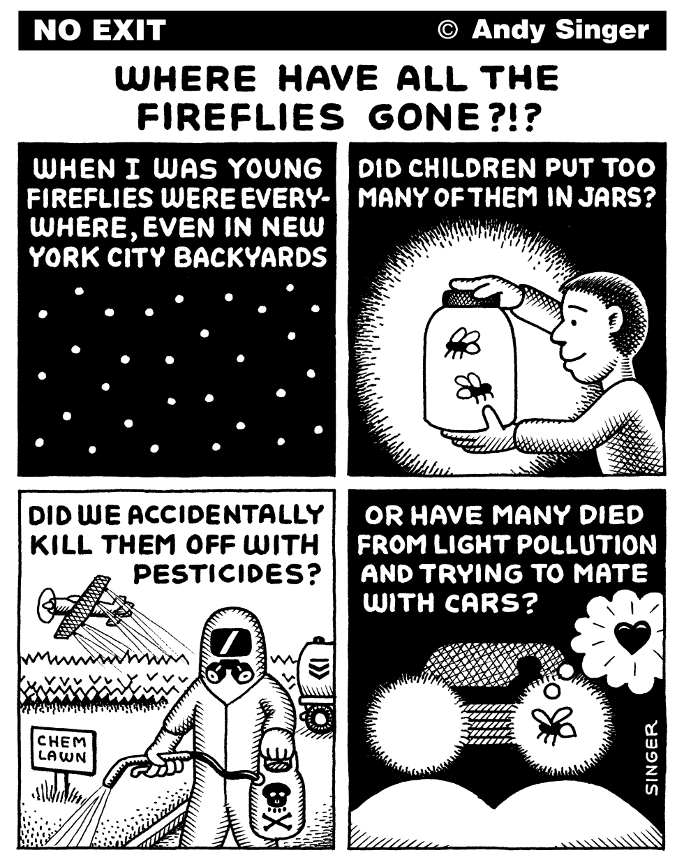 Fireflies Disappear