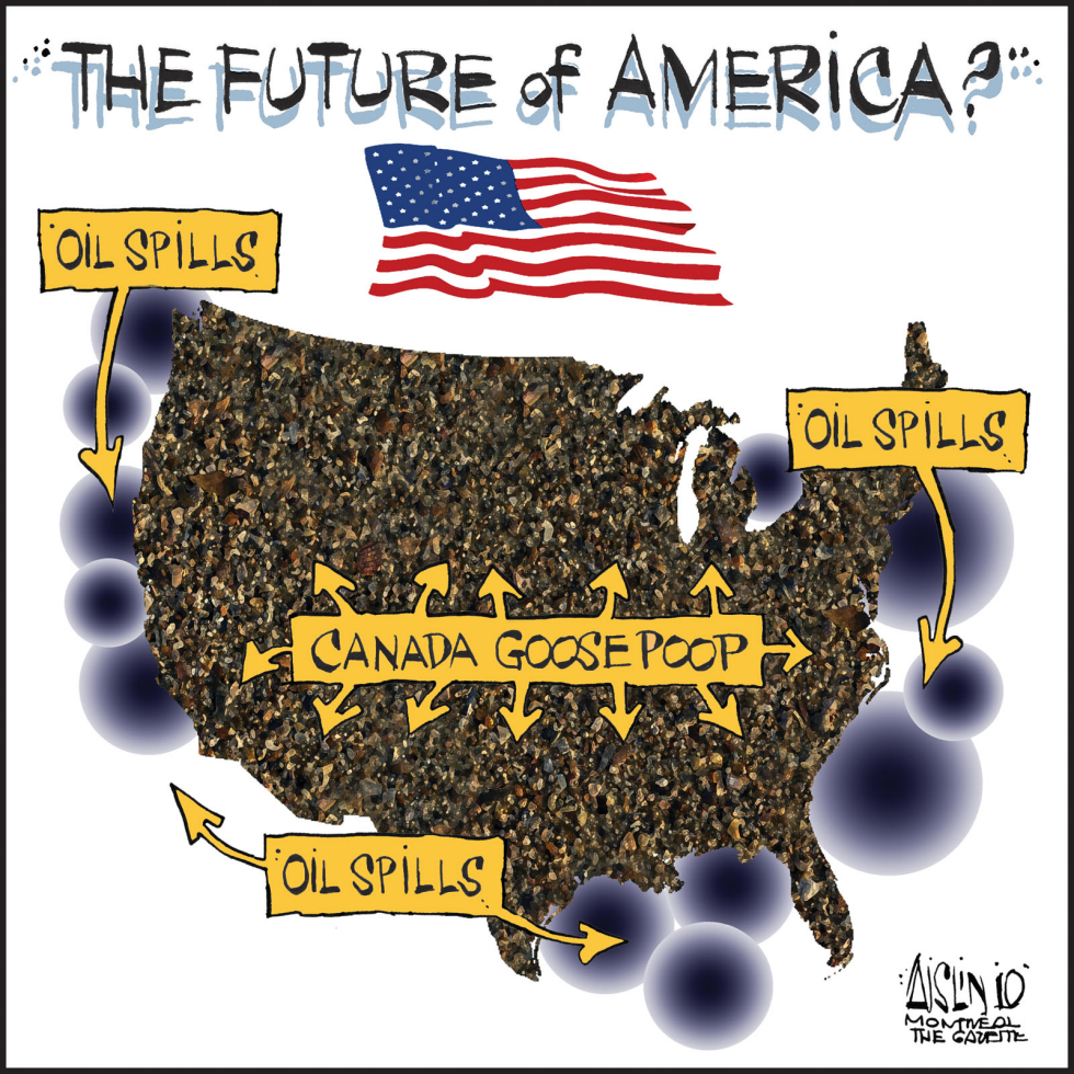Canada Geese an irritant to Americans COLOR