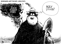 SMOKEY THE BEAR by Cam Cardow