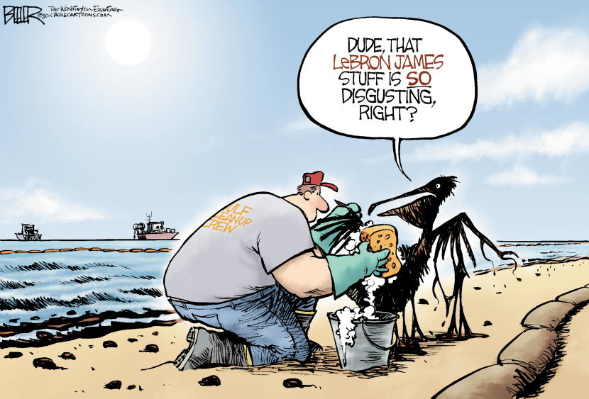 Pelican Disgust COLOR