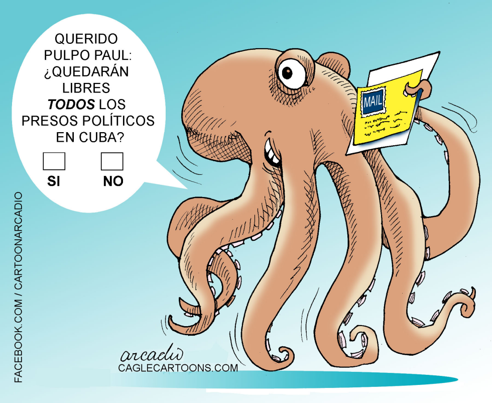 Pulpo Paul predice nuevo