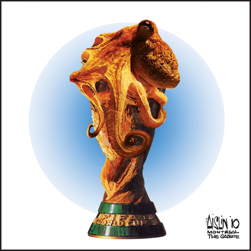 Octopus picks World Cup winner COLOR
