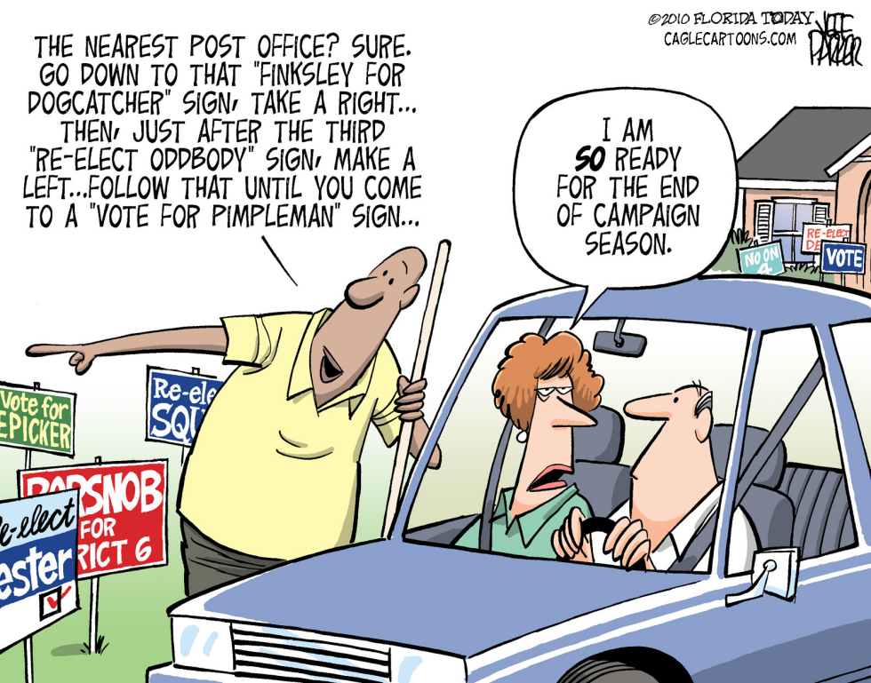 Too Many Campaign Signs COLOR