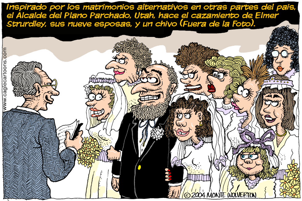  MATRIMONIOS ALTERNATIVOS by Wolverton