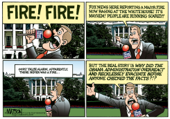 FOX NEWS REPORTS THE REAL STORY by R.J. Matson