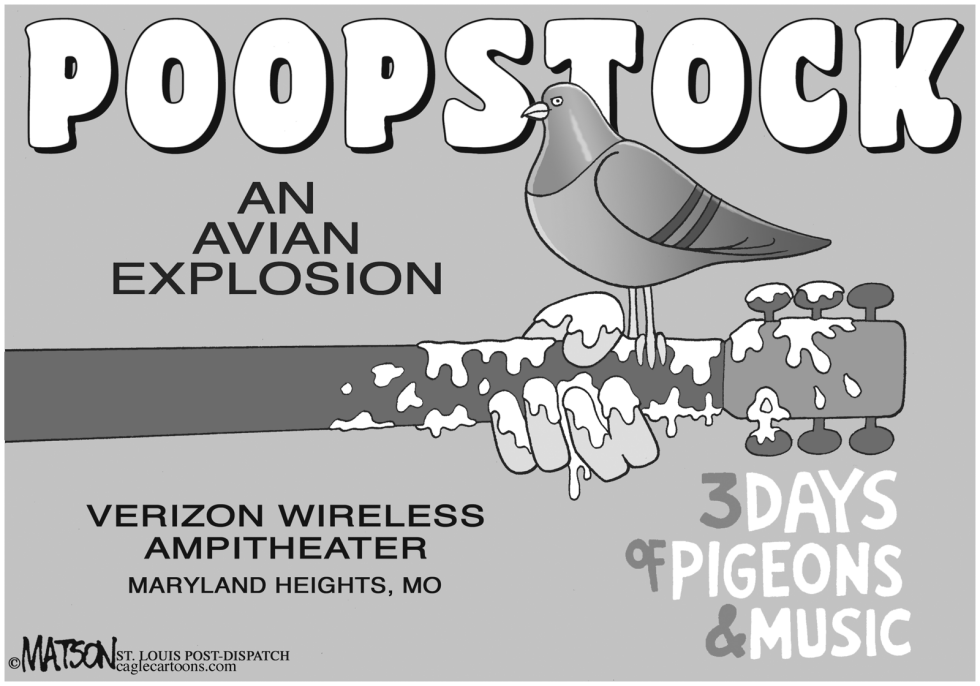  LOCAL MO-PIGEON POOP CANCELS CONCERT by RJ Matson