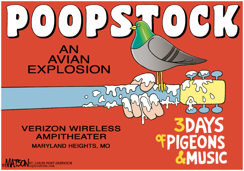 Local MO-Pigeon Poop Cancels Concert-COLOR