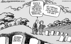 ARLINGTON MESS by Mike Keefe