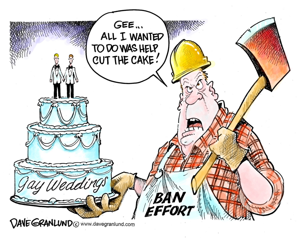 Gay marriage and ban effort