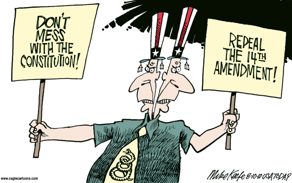 14th Amendment COLOR