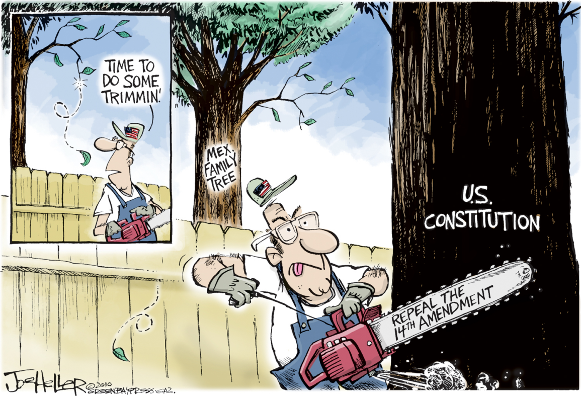 15 Amendment Cartoon