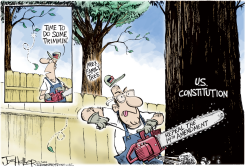 14TH AMENDMENT by Joe Heller