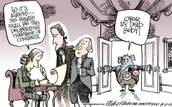 DELIBERATIVE SENATE  by Mike Keefe