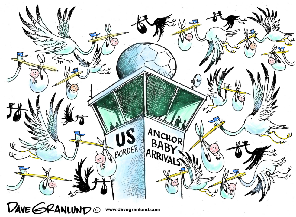 Anchor babies and US citizenship