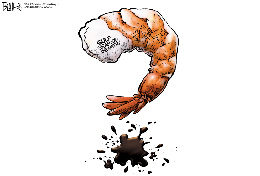 Gulf Shrimp