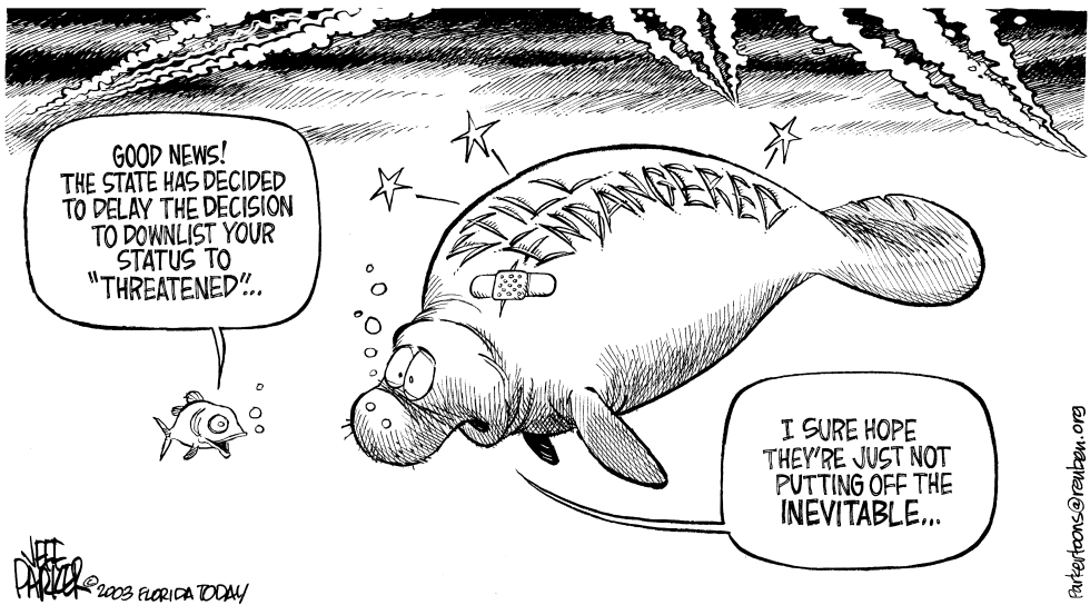 LOCAL FL Downlisting Manatees