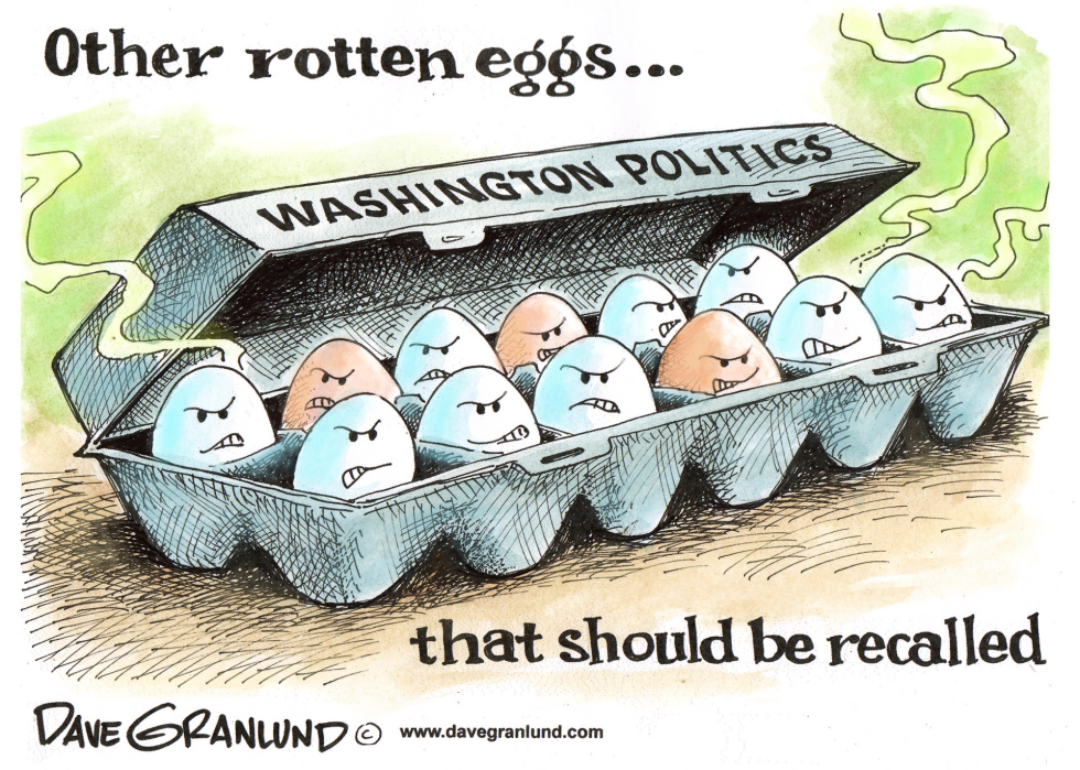 Egg recall and politics