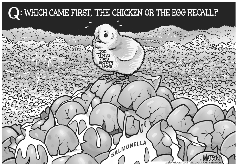  THE CHICKEN OR THE EGG RECALL by RJ Matson