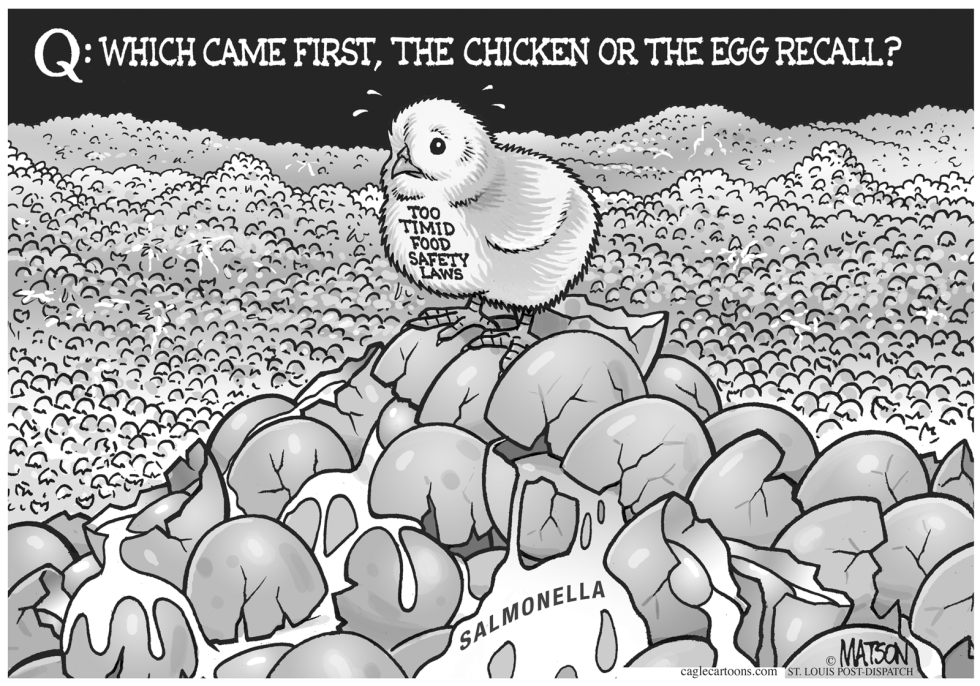 The Chicken Or The Egg Recall
