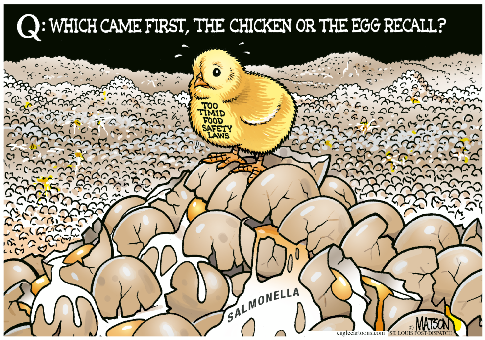 The Chicken Or The Egg Recall-COLOR
