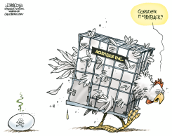 OF EGGS AND AGRIBIZ  by John Cole