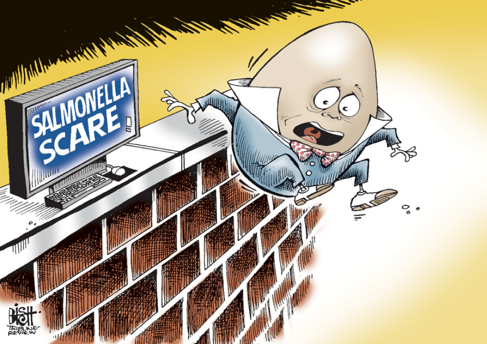 EGG SCARE, COLOR